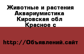 Животные и растения Аквариумистика. Кировская обл.,Красное с.